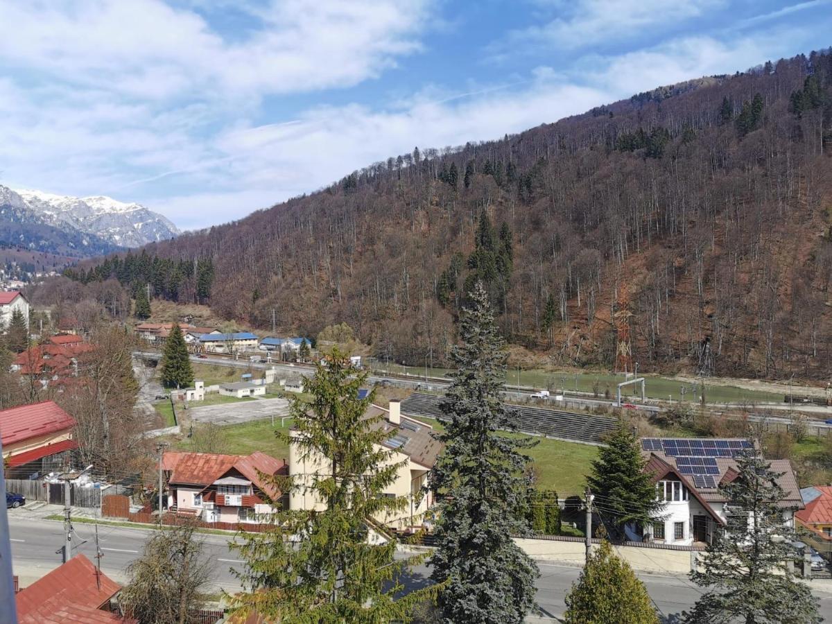 Apartament Panoramic View Apartment *
