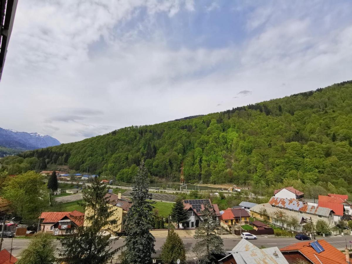 Apartament Panoramic View Sinaia