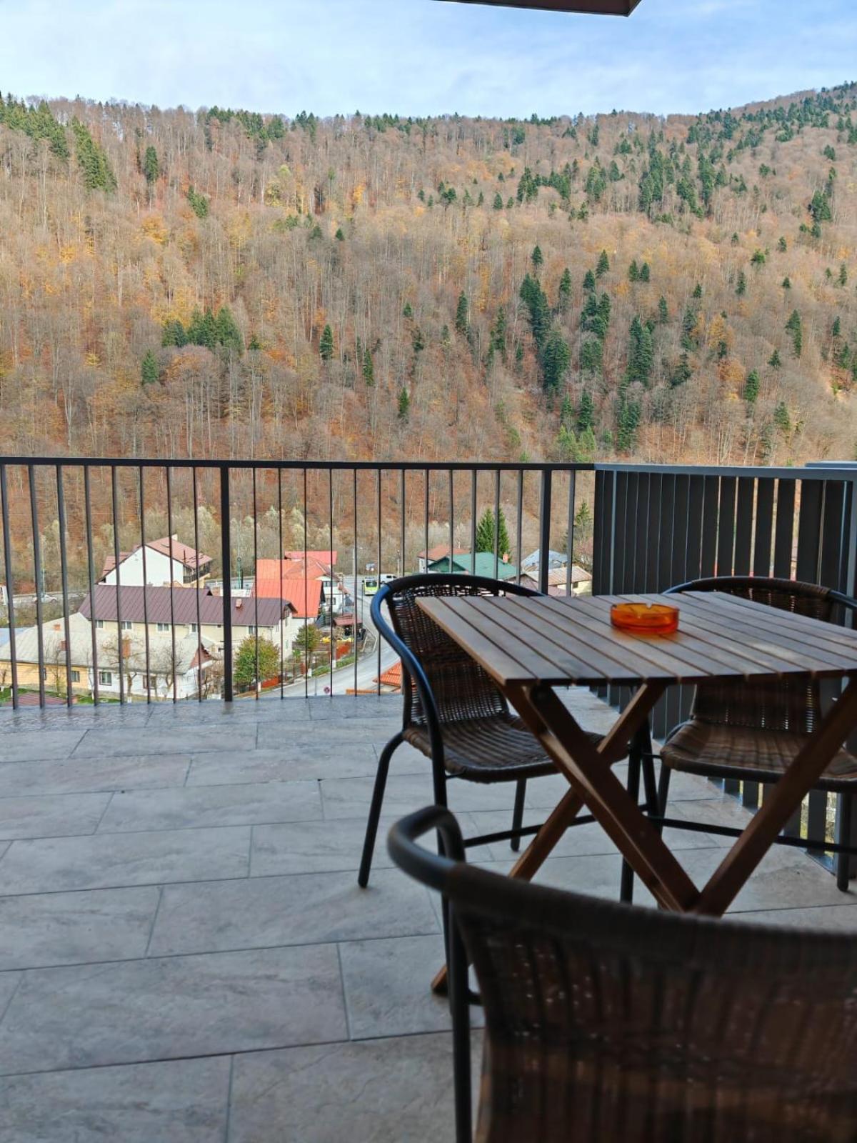 Apartament Panoramic View Apartment Sinaia